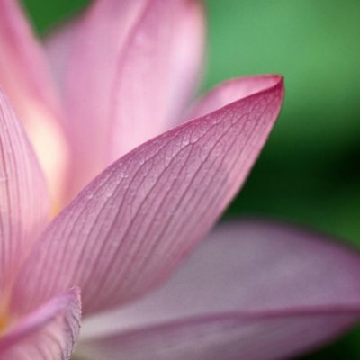 Inner Child Healing