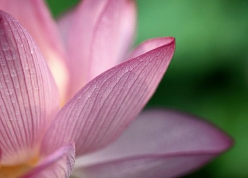 Inner Child Healing